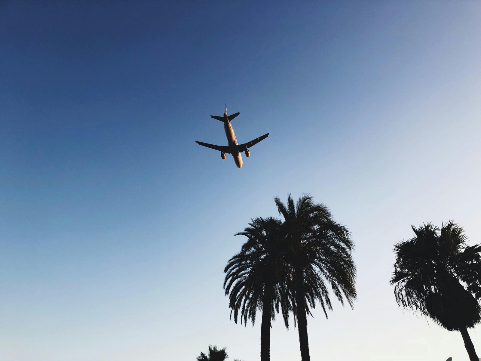 Affordable Flights to Mexico with Volaris | Budget-Friendly Travel Tips